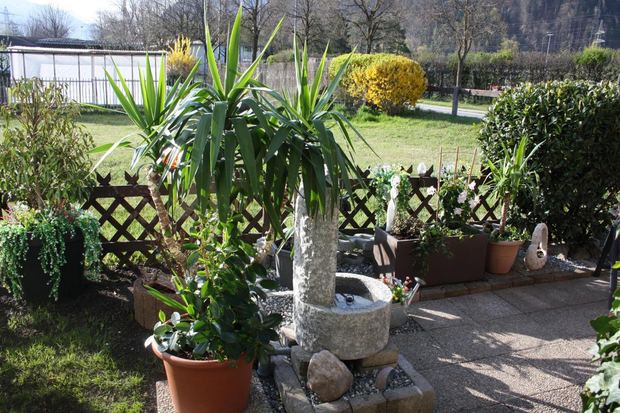 Appartamento Ferien Bei Conny Nüziders Esterno foto